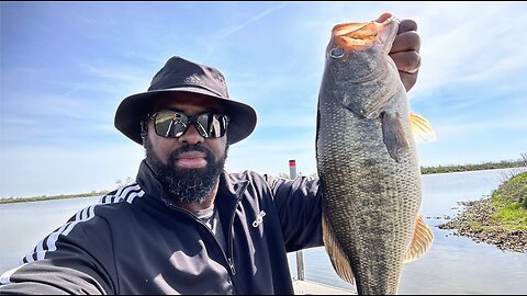 Bass Fishing in a River