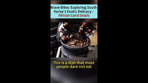 Brave Bites: Exploring South Krean's Exotic Delicacy - African Land Snails