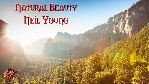 Natural Beauty Neil Young