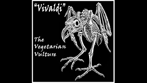 "Vivaldi" The Vegetarian Vulture
