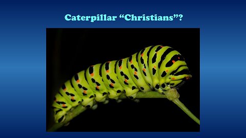 Video Bible Study: Caterpillar Churches and Creeds