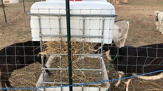 New hay feeder