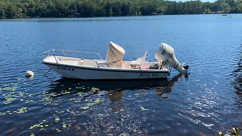 New (To Me) 1998 13’ BlueFin Yacht with 2018 40 hp Suzuki Motor