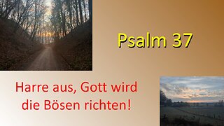 Psalm 37 - Bleib geduldig, Gott wird die Gottlosen richten!