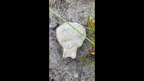 *Must see * Savanna river found arrowhead hunting