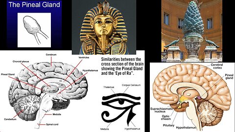 PINEAL GLAND – David Wilcock (LECTURE)