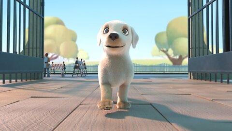 Pip a short film about guide dogs