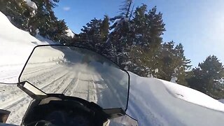 Lake Tahoe | Hope Valley snowmobile tour