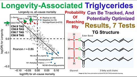 Longevity-Associated Triglycerides (7-Test Results)