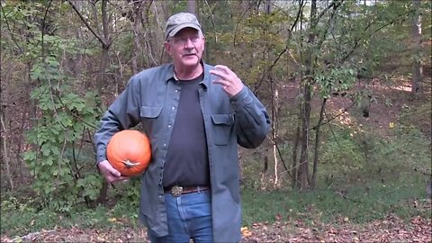 Pumpkin Killing Methods IV