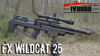 FX Wildcat .25 Caliber