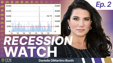 Are We Heading into a Recession? Signs You Can't Ignore in 2024 with Danielle DiMartino Booth