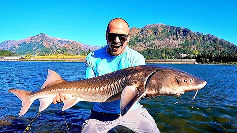 STURGEON FISHING FROM SHORE!!! Secret Mission on the Columbia River.