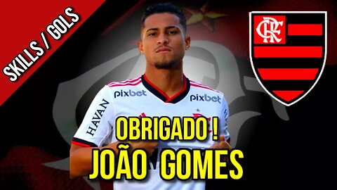 OBRIGADO JOÃO GOMES, O NOVO "DEUS DA RAÇA" OU "PITBULL DO PISCINÃO" | SKILLS GOLS E PELO FLAMENGO