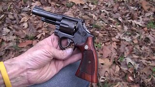 Model 19-5 S & W .357 Magnum (Close-Up)
