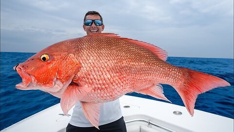 Florida's MOST Controversial Fish... Catch and Cook (Red Snapper)