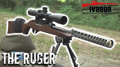 IDF "The Ruger" | The Most Controversial 10/22 Ever
