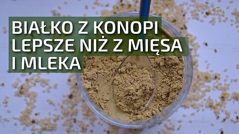 Białko konopne! Zdrowsze niż z mięsa i mleka | Dobrekonopie.pl