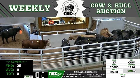2/13/2023 - OKC West Weekly Cow & Bull Auction