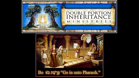 Torah Portion: Bo “Go in unto Pharaoh.”