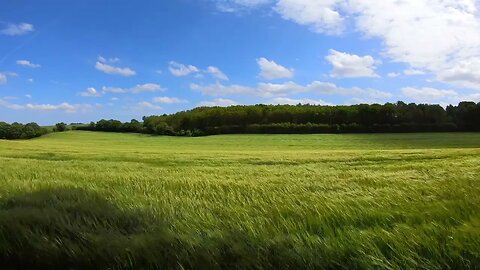 Scenery of Relaxing Farm Field During Daytime