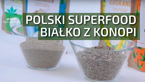 Białko i mąka z konopi - superfood z Polski | Dobrekonopie.pl