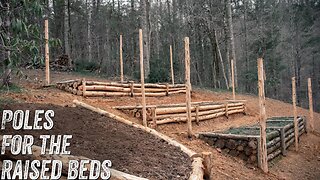 OFF GRID HOMESTEAD GARDENING | POLES FOR THE RAISED BED DEER FENCING