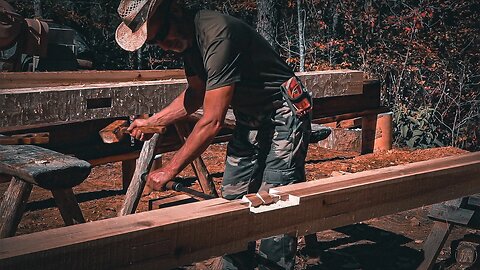 Burnout in the Smokehouse : Milling & building a Timber Frame Workshop