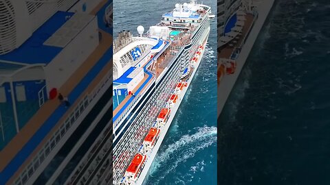 Would you dare jump off a massive cruise ship? 🤯🤯 #cruiseship #shorts #pilot