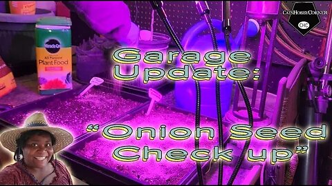 Garage Onion Seed Check Up