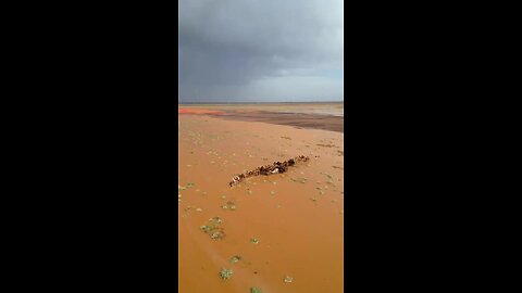 😱 Inundações no deserto...