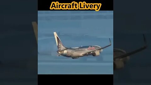 Watch #Hilarious #Cute Animals #Aircraft #Livery #Flying #Aviation