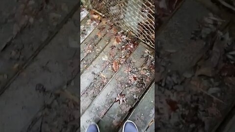 Walking under waterfalls💦