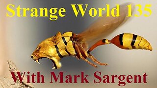 Return of the Flat Earth phone calls - SW135 - Mark Sargent ✅