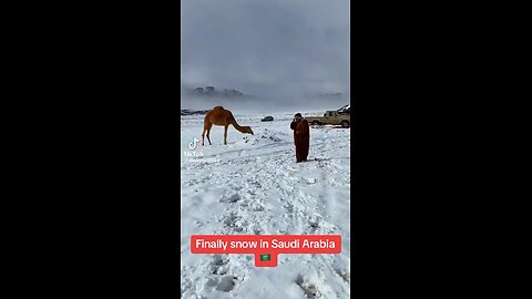 Snowing in Saudi Arabia biblical event