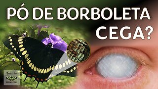 Pó de borboleta cega?