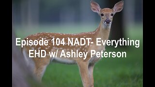 Episode 104 NADT- Everything "EHD" in deer w/ Ashley Peterson