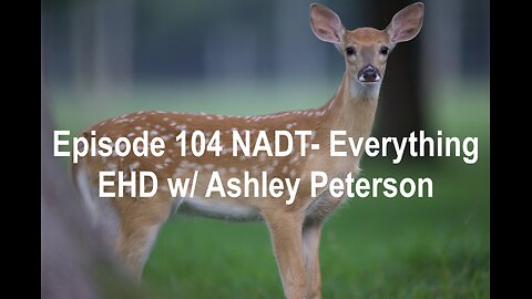 Episode 104 NADT- Everything "EHD" in deer w/ Ashley Peterson