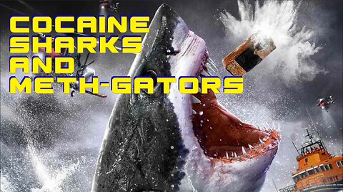 Cocaine Sharks & Meth-Gators Are A Real Problem