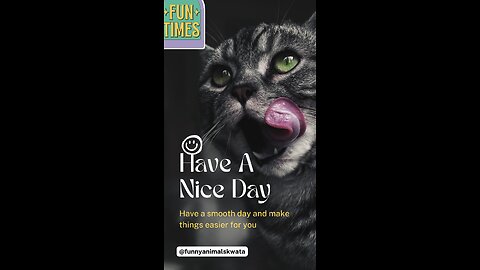 Funniest cat video compilation part#3 | funny cat | cute cat | cat rumble | cats | memes |