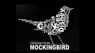 Operation Mockingbird: The Manipulation of the Media by the Deep State - William Shaap before the American Congress in 1999