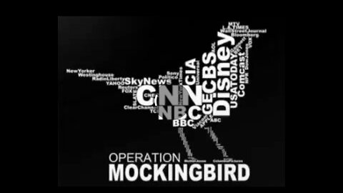 Operation Mockingbird: The Manipulation of the Media by the Deep State - William Shaap before the American Congress in 1999