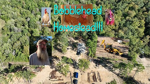 What's Really Happening At @BobbleheadHomestead Shed to House Hügelkultur (Hugelkultur Gardening)