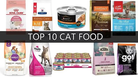 Top 10 cat litter in 2022