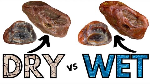DRY vs WET AGATES | How to EASILY make your rocks POP
