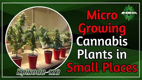 Micro Growing Cannabis Plants in Small Places, Cannabis News and Events, HOHG Episode #123