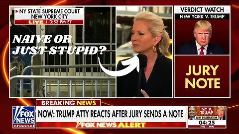 Shannon Bream Bonds with MSNBC Gloating Over Trump Trial Verdict