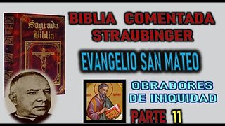 ALEJAOS DE MI OBRADORES DE INIQUIDAD - BIBLIA STRAUBINGER parte 11