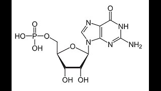 Current diagnosis and management of erectile dysfunction. A Puke (TM) Audiopaper.