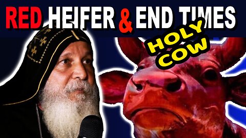 URGENT! - Why The Red Heifer Prophecy Is About To Happen In 2024 - The End Times - Mari Emmanuel